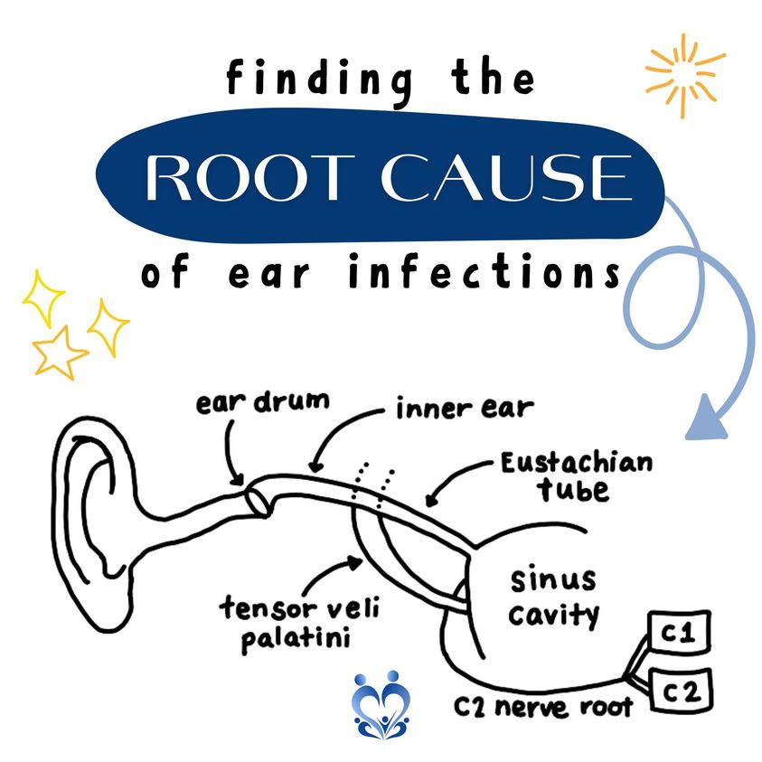 root-cause-of-ear-infections